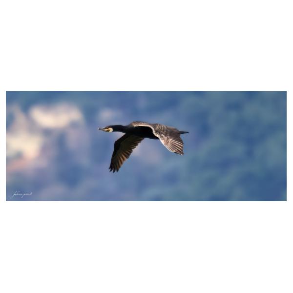 PHOTO84, CLUB, 84 , LUBERON